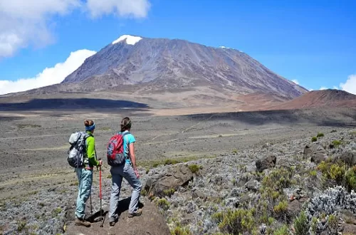 Ultimative 7-tägige Umbwe-Route Kilimandscharo-Wanderung
