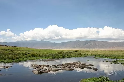 Kann man im Ngorongoro-Krater schwimmen?