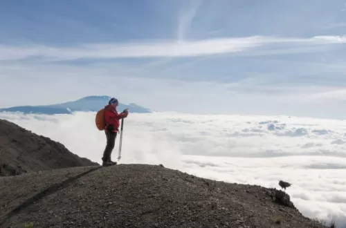 Klima im Kilimandscharo-Nationalpark: Wettermuster