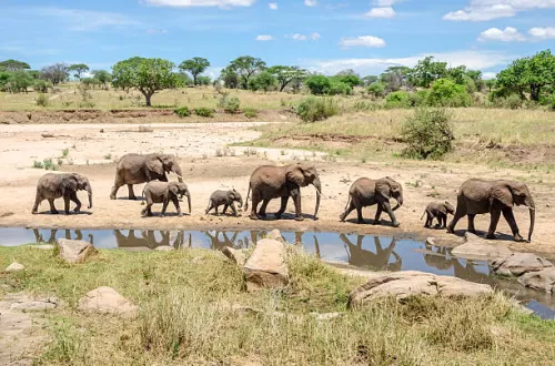 Lohnt sich ein Besuch des Tarangire-Nationalparks?