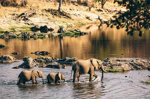 Ruaha-Tagesausflug-Safari-Paket ab Iringa