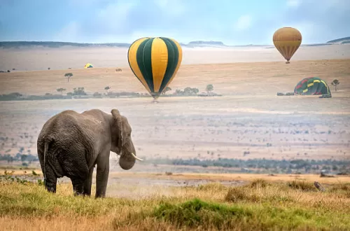 Serengeti-Nationalpark Heißluftballonsafari
