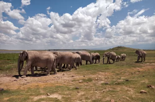 Safari de 2 jours en Tanzanie : explorez la nature