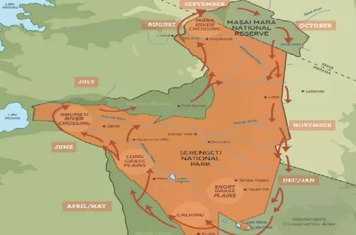 Carte des migrations du parc national du Serengeti
