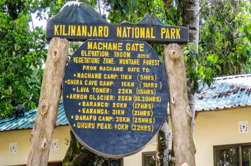 Machame Route distance -  62 kilometers (38.5 miles)