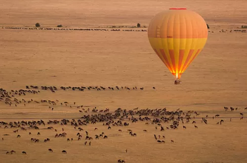 Parc national du Serengeti en Tanzanie