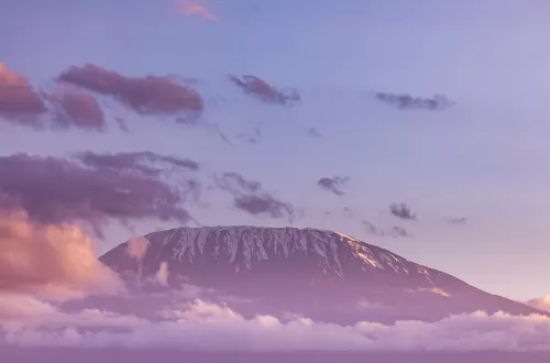 What is the altitude of Kilimanjaro’s summit?